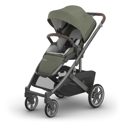 Uppababy Cruz V3 DUO - Evelyn