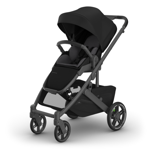 Uppababy Cruz V3 DUO - James