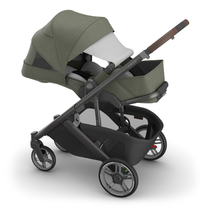 Uppababy Cruz V3 DUO - Evelyn