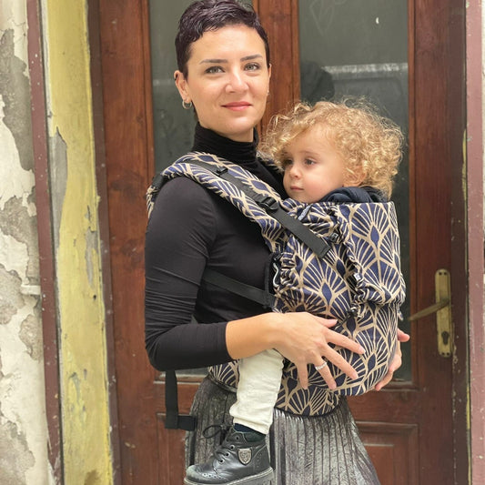 Mochila ergonómica Neko Smart Toddler Kidonya Elegance